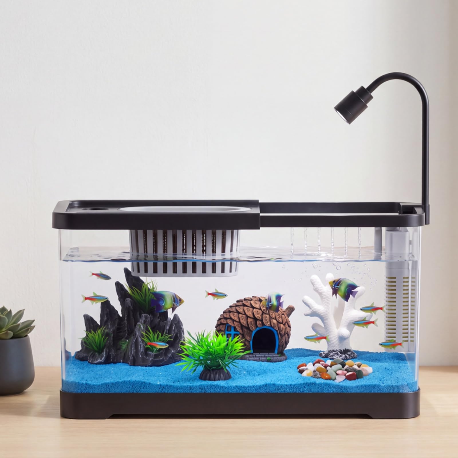 Aquarium Fish Betta - 어항 스타터 키트(필터 및 조명 포함)