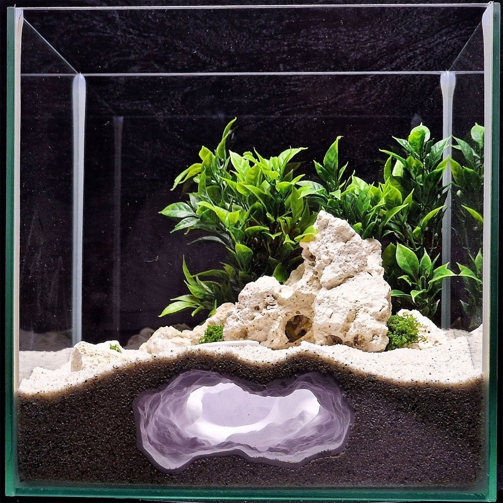 Aquarium Fish Reproduction - 고도로 시뮬레이션된 수족관 어항 자연 3D
