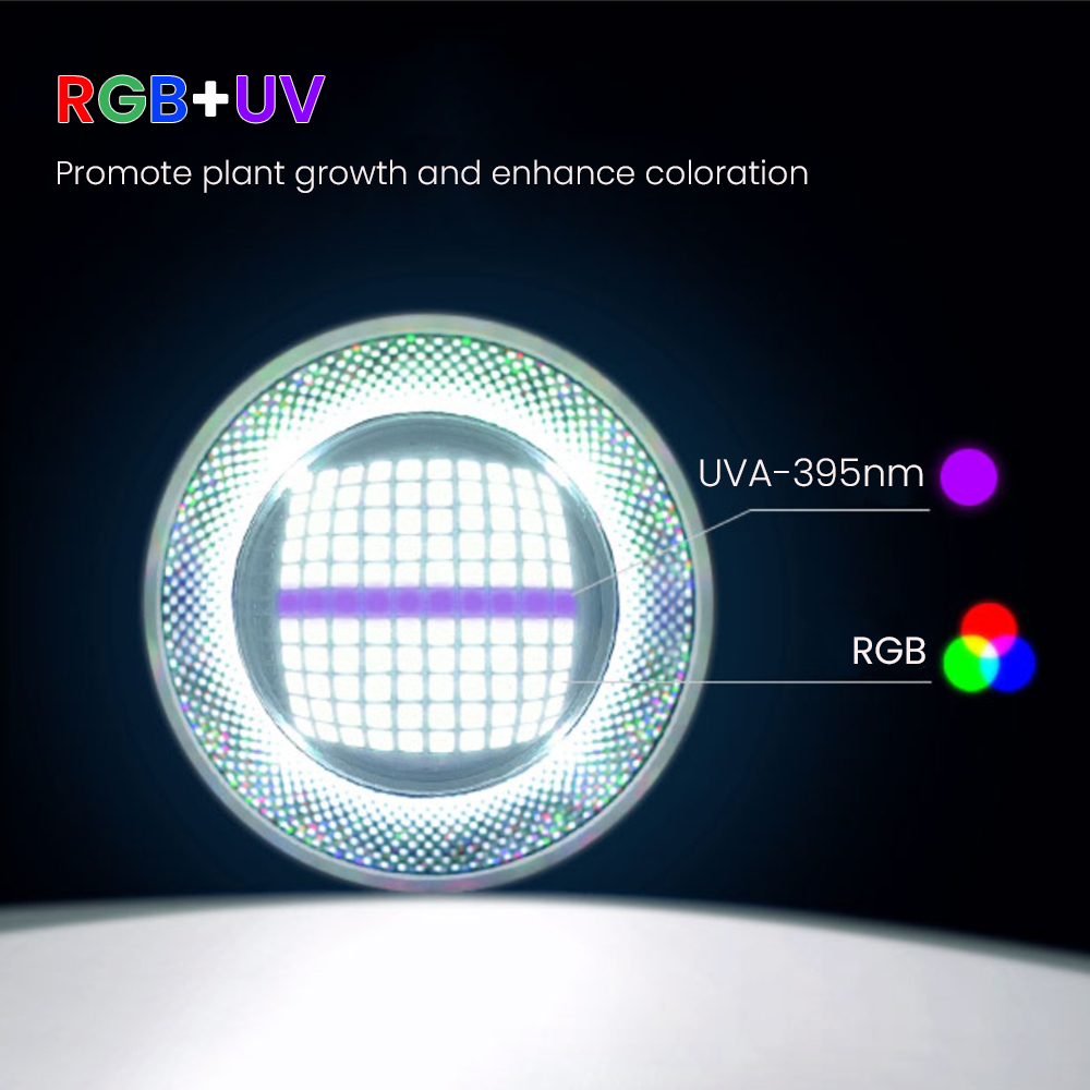 풀 스펙트럼 블루투스 3.0 앱 제어 담수 수초 어항  - Aquarium Led Light 리뷰 및 가격