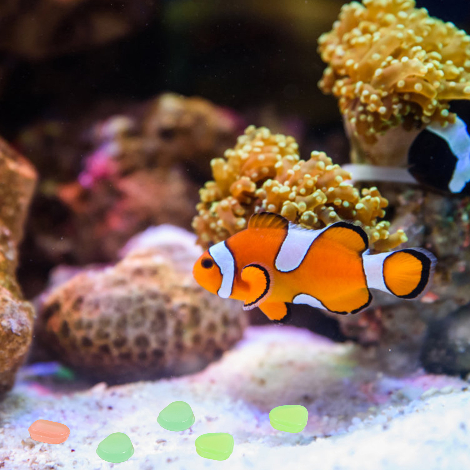 어둠 속에서 빛나는 조약돌 400개, 야광 효과가 있는 - Aquarium Fish Small 리뷰 및 가격