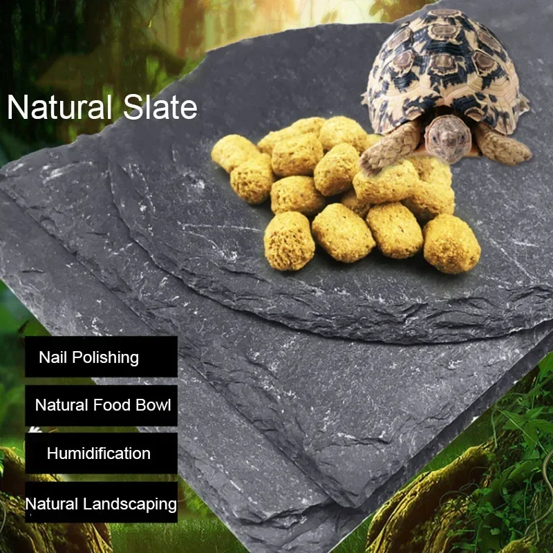 천연 슬레이트 수족관 애완 동물 파충류 먹이 그릇, 대 - Aquarium Fish Feeder 리뷰 및 가격