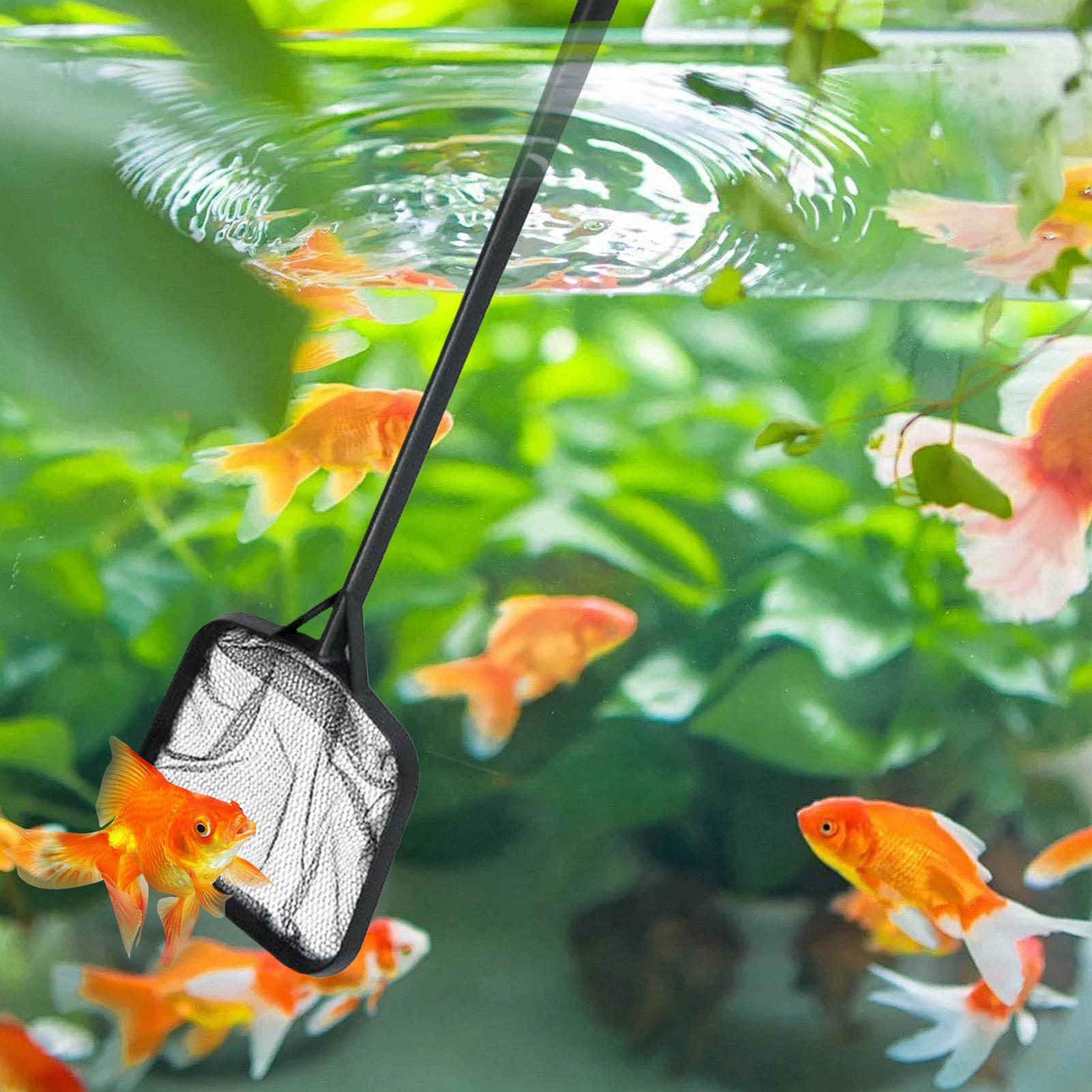 휴대용 수영장 청소용 그물망, 분수 청소용품, 수족관/ - Aquarium Fish Accessories 리뷰 및 가격