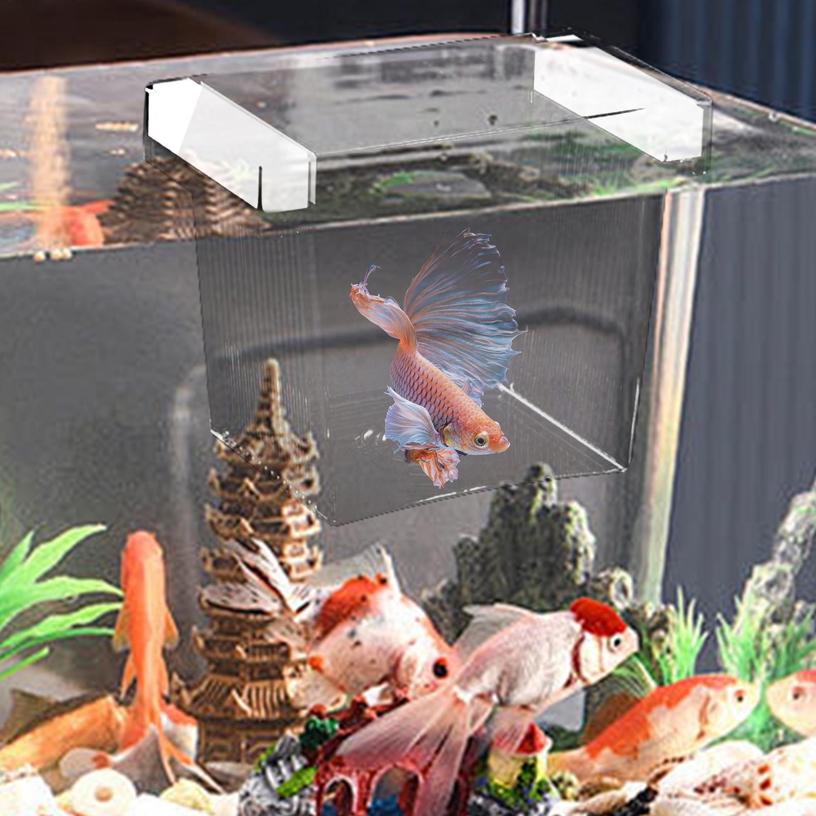 수족관용 부유식 어류 번식 격리 상자, 플라스틱 어항  - Aquarium Fish Feeder 리뷰 및 가격