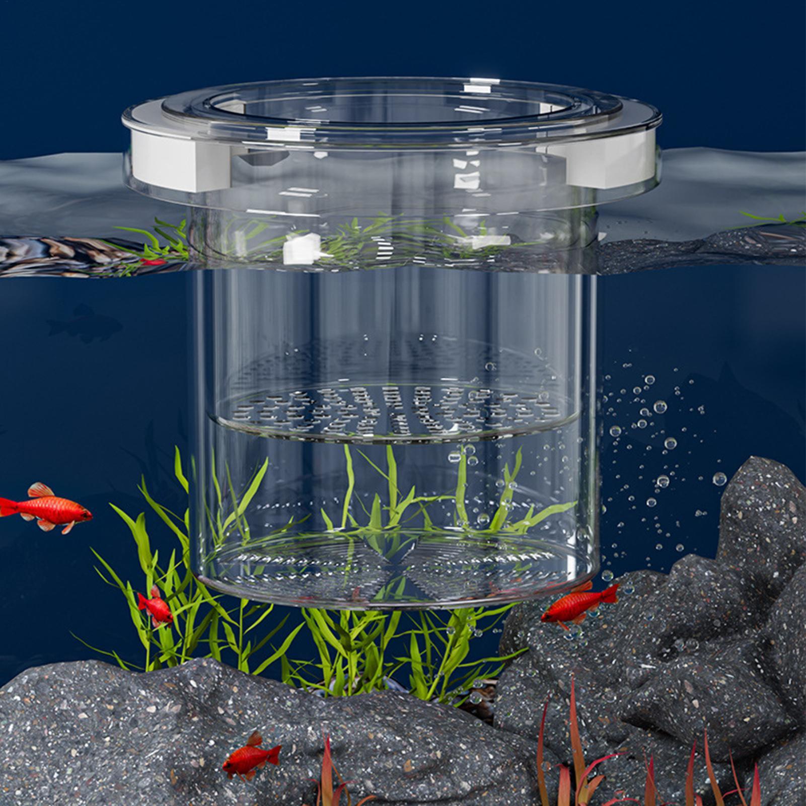 수족관용 부유식 어류 번식 격리 상자, 플라스틱 어항  - Aquarium Fish Feeder 리뷰 및 가격