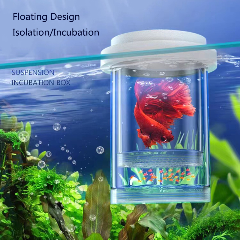 플라스틱 부동 물고기 사육 격리 상자 수족관 브리더 피 - Aquarium Fish Feeder 리뷰 및 가격