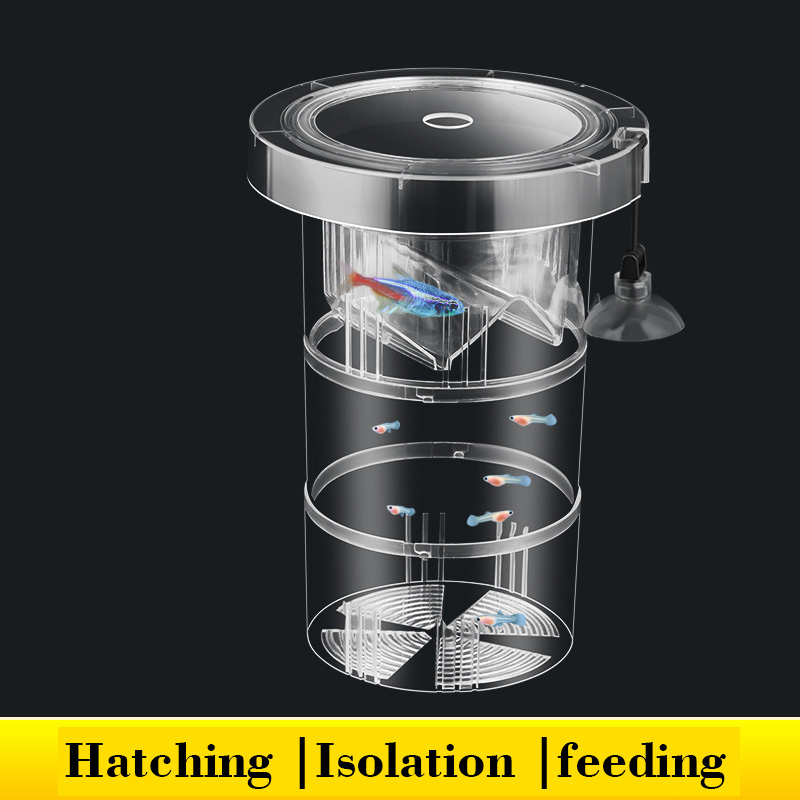 수족관 탱크 용 부동 물고기 사육 격리 상자 아기 물고 - Aquarium Fish Accessories 리뷰 및 가격