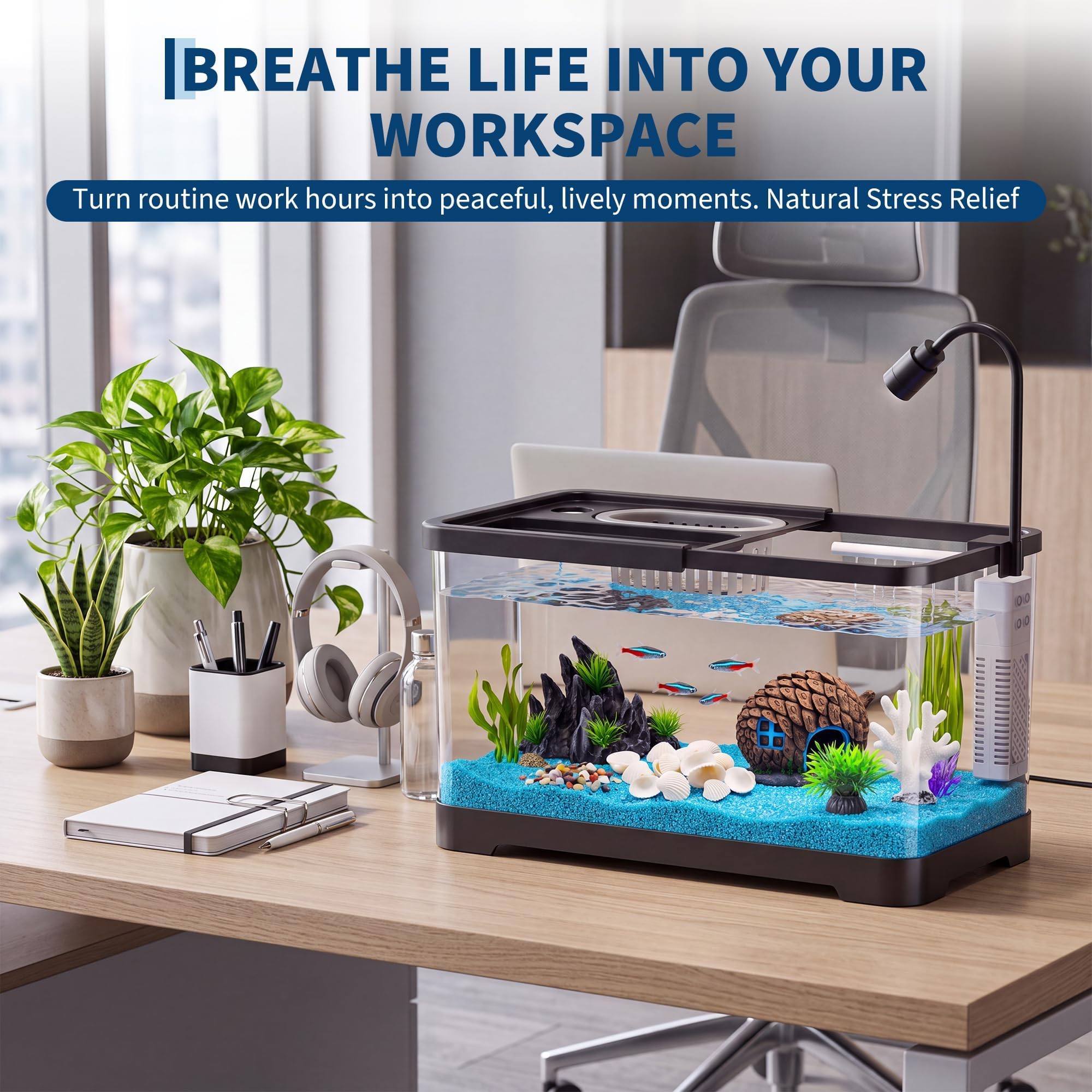어항 스타터 키트(필터 및 조명 포함) - 금붕어, 새 - Aquarium Fish Betta 리뷰 및 가격