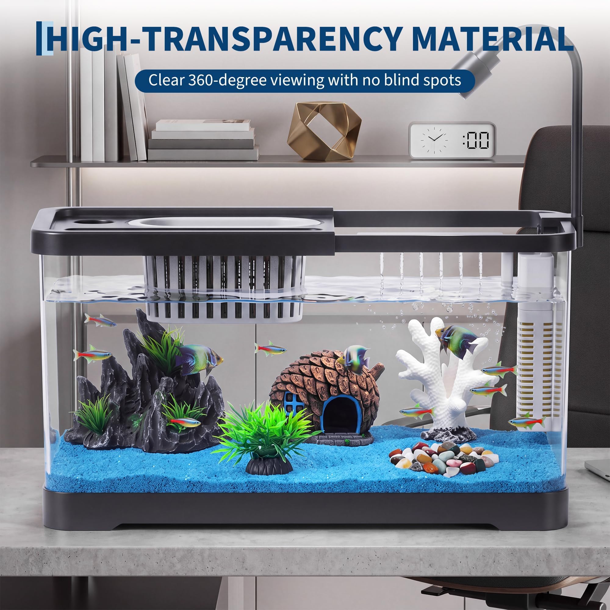 어항 스타터 키트(필터 및 조명 포함) - 금붕어, 새 - Aquarium Fish Betta 리뷰 및 가격