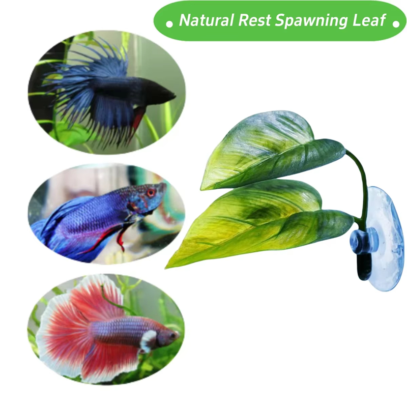 수족관 애완동물 용품 장식 인조 수생 식물 어항 조경  - Aquarium Fish Betta 리뷰 및 가격
