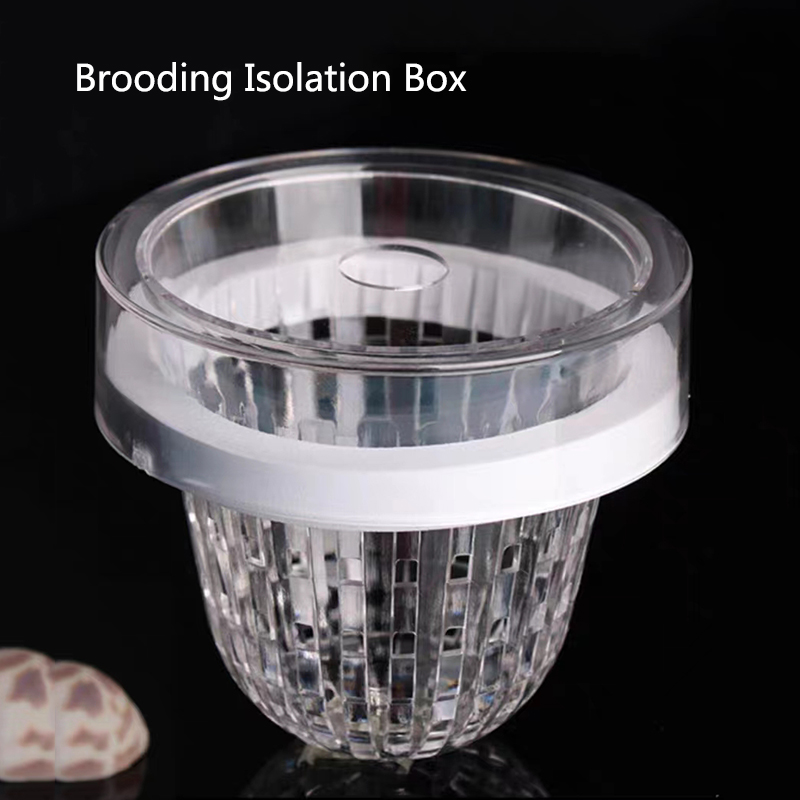 아크릴 부유 물고기 사육 격리 상자, 수족관 사육기 피 - Aquarium Fish Feeder 리뷰 및 가격