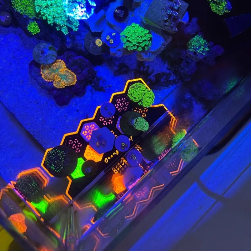 형광 산호 플러그 플러그스 발광 산호 번식 베이스 수족 - Aquarium Fish Reproduction 리뷰 및 가격