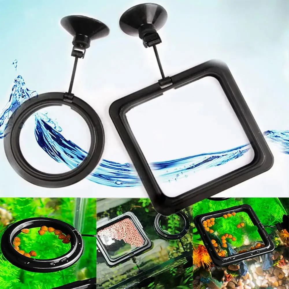 피드 흡입 컵 수족관 먹이 링 물고기 탱크 스테이션 부 - Aquarium Fish Feeder 리뷰 및 가격
