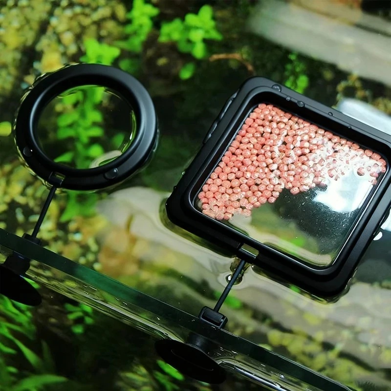 1/3개 수족관 물고기 먹이 링 어항 하트 모양 플로팅 - Aquarium Fish Feeder 리뷰 및 가격
