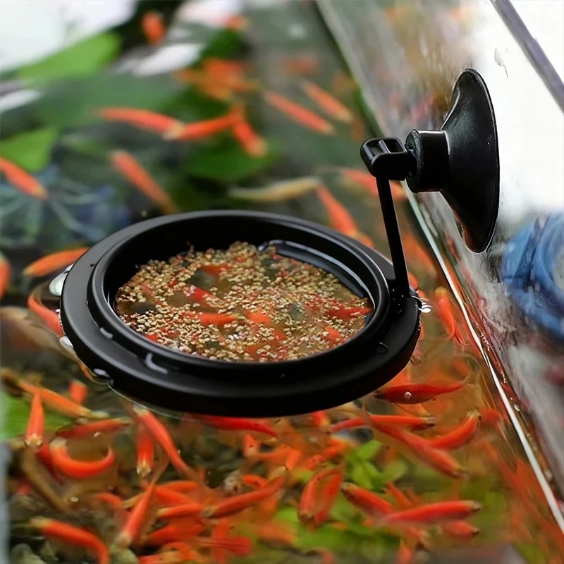 1/3개 수족관 물고기 먹이 링 어항 하트 모양 플로팅 - Aquarium Fish Feeder 리뷰 및 가격