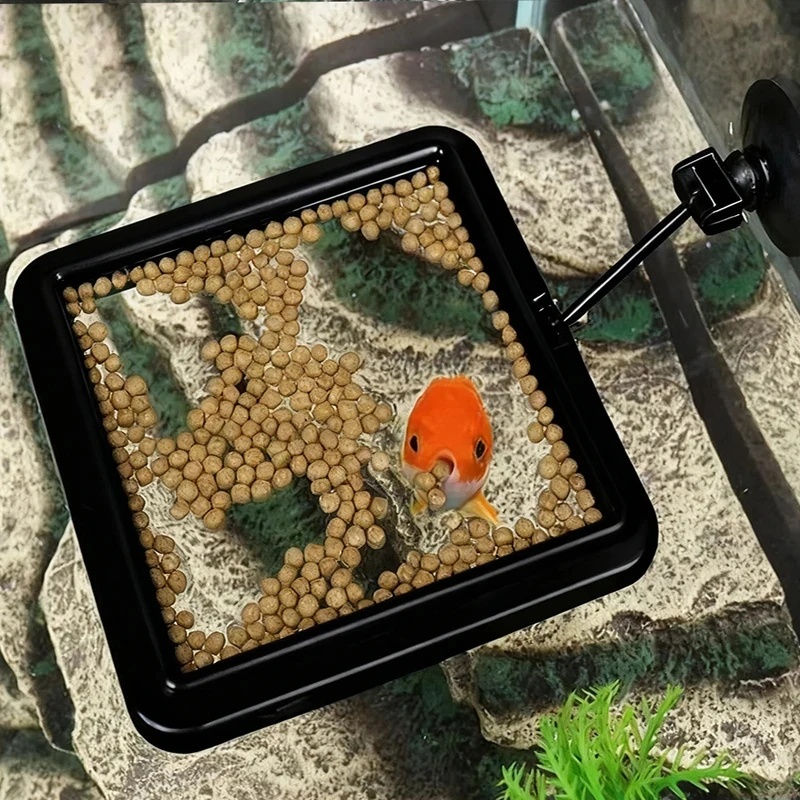 1/3개 수족관 물고기 먹이 링 어항 하트 모양 플로팅 - Aquarium Fish Feeder 리뷰 및 가격