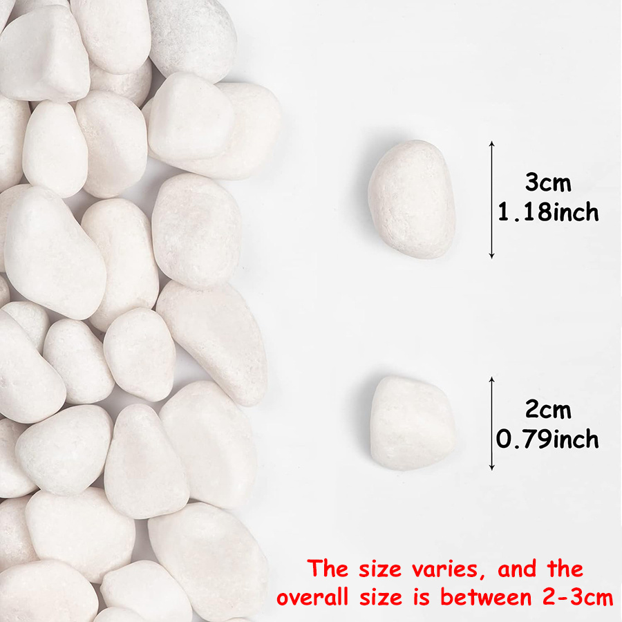 200/400g 흰색 고광택 천연 자갈 2-3cm 마당 - Aquarium Fish Saltwater 리뷰 및 가격