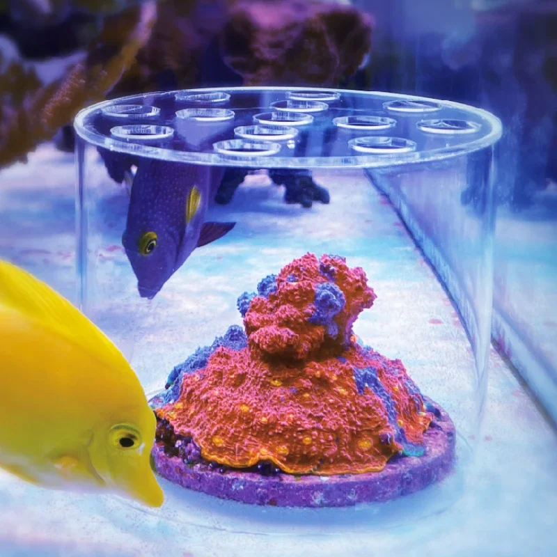 바스토션 아쿠아리움 아크릴 산호 먹이주기 후드 액체 비 - Aquarium Fish Feeder 리뷰 및 가격
