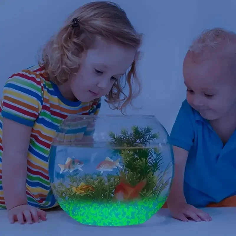 1000pcs 어두운 자갈 돌에 3-5mm 빛나는 모래 - Aquarium Fish Saltwater 리뷰 및 가격