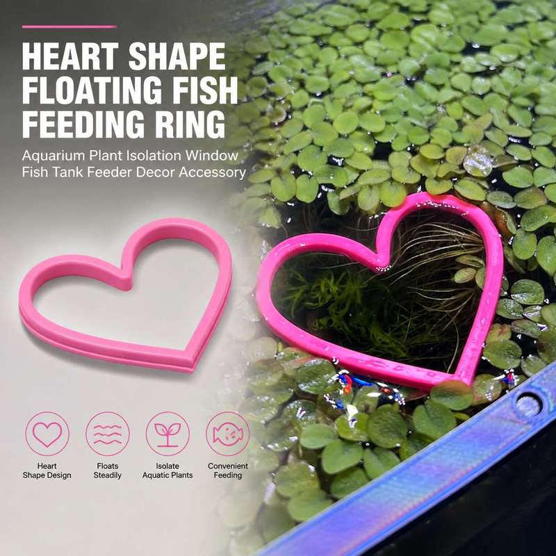 하트 모양의 물고기 먹이 공급 링 수족관 어항 물고기  - Aquarium Fish Feeder 리뷰 및 가격