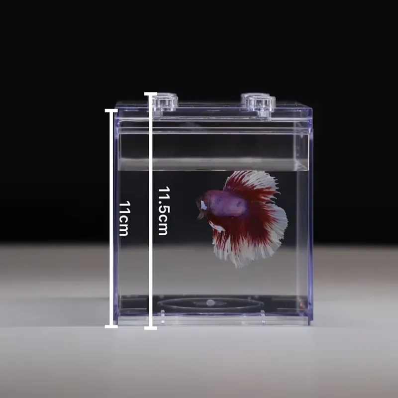 릴랙스라인 미니 수족관 박스 테이블 장식 소형 다기능  - Aquarium Fish Small 리뷰 및 가격