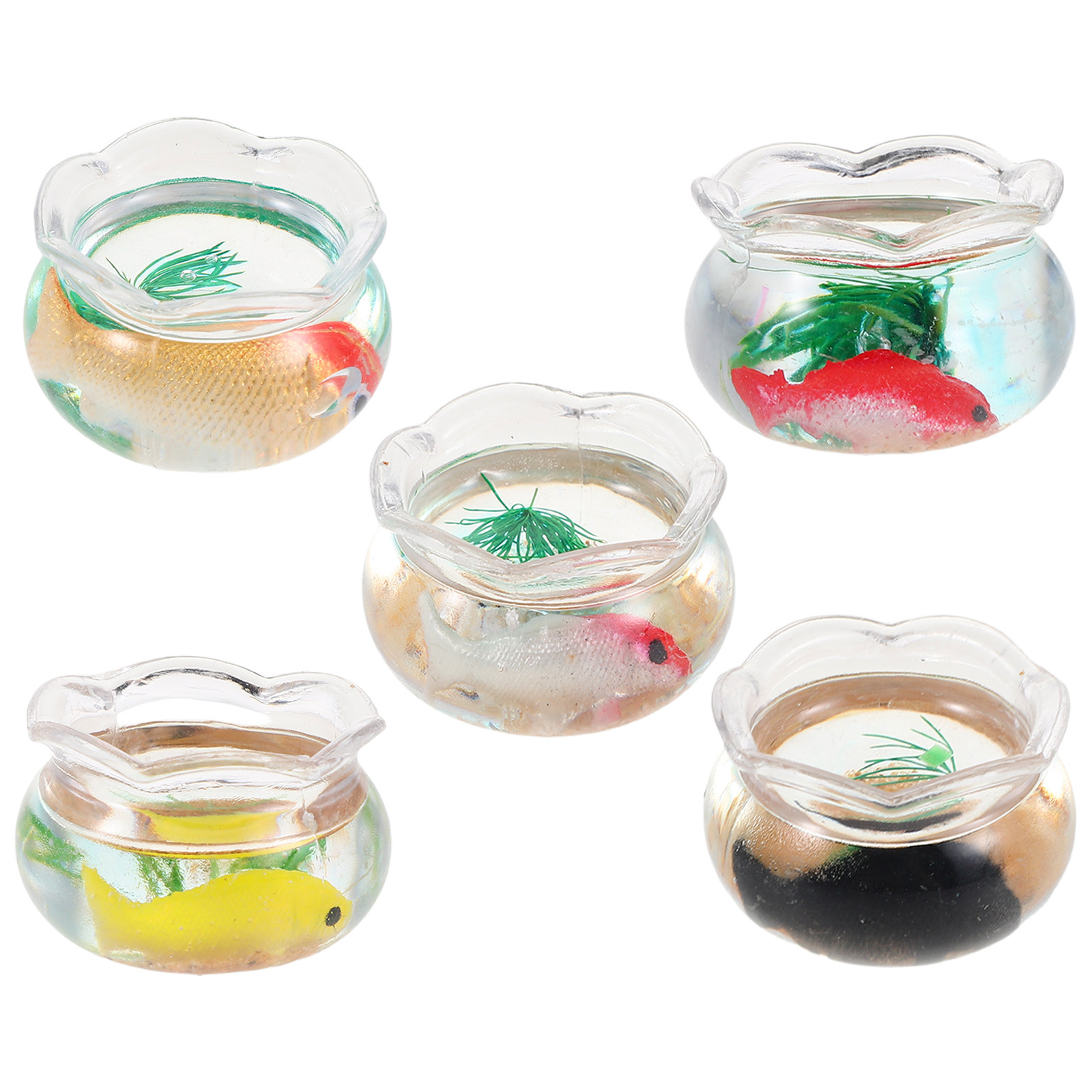 미니 물고기 어항 5개 세트, 작은 원형 금붕어 어항, - Aquarium Fish Small 리뷰 및 가격