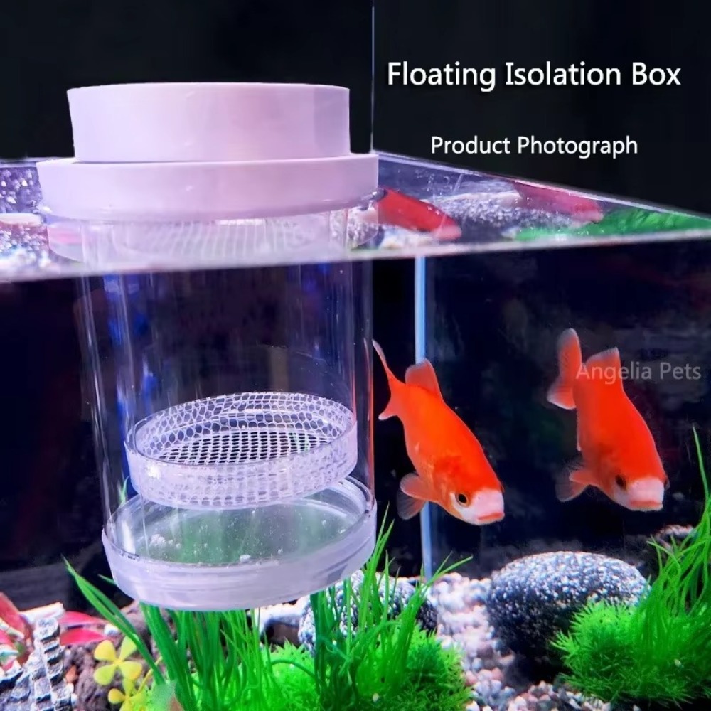 플라스틱 부동 물고기 사육 격리 상자 수족관 브리더 피 - Aquarium Fish Feeder 리뷰 및 가격
