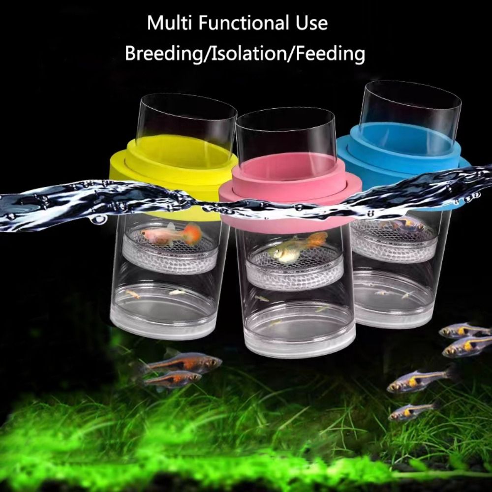 플라스틱 부동 물고기 사육 격리 상자 수족관 브리더 피 - Aquarium Fish Feeder 리뷰 및 가격