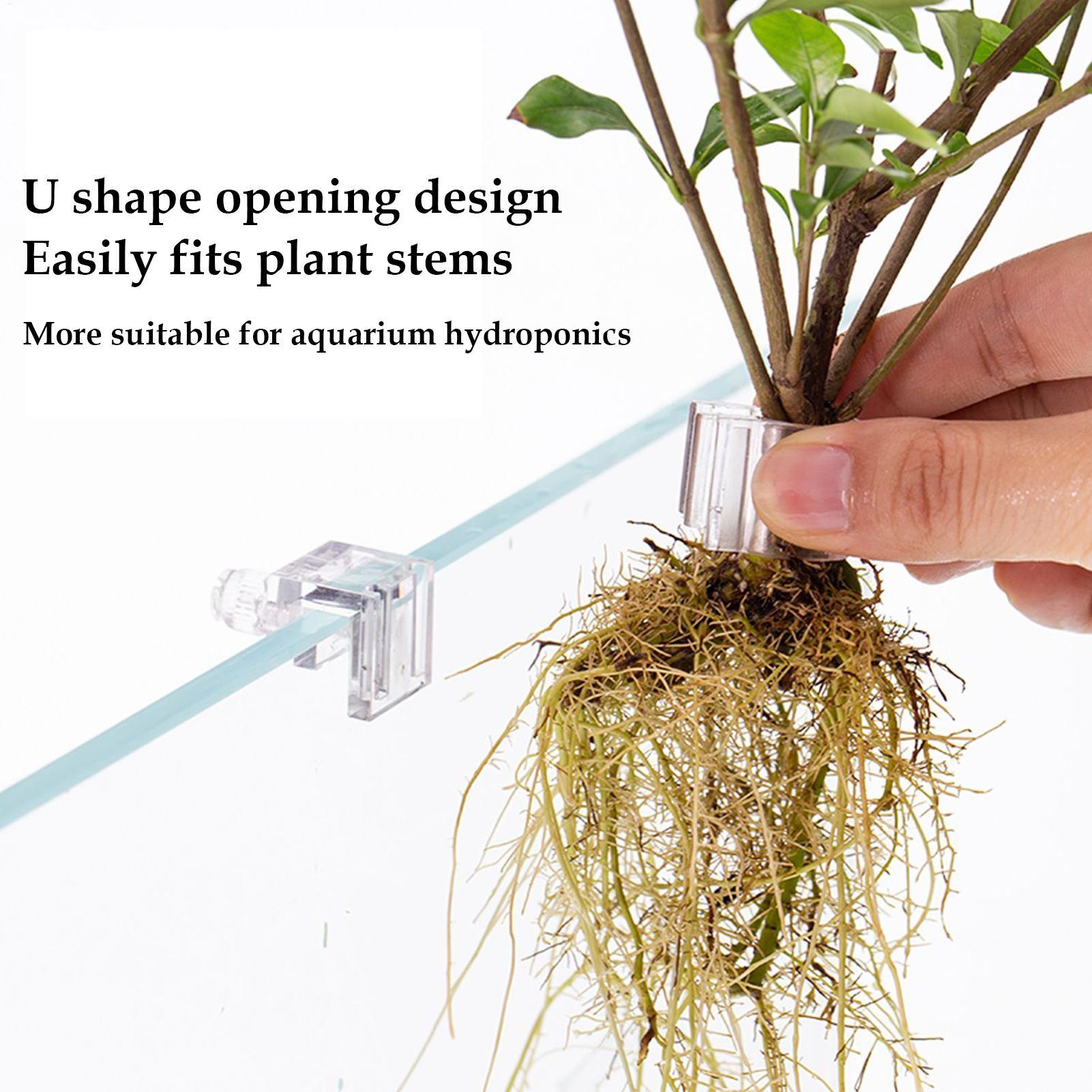 미니 어항 화분 6개 세트 수족관 식물 홀더 지지대 컵 - Aquarium Fish Feeder 리뷰 및 가격
