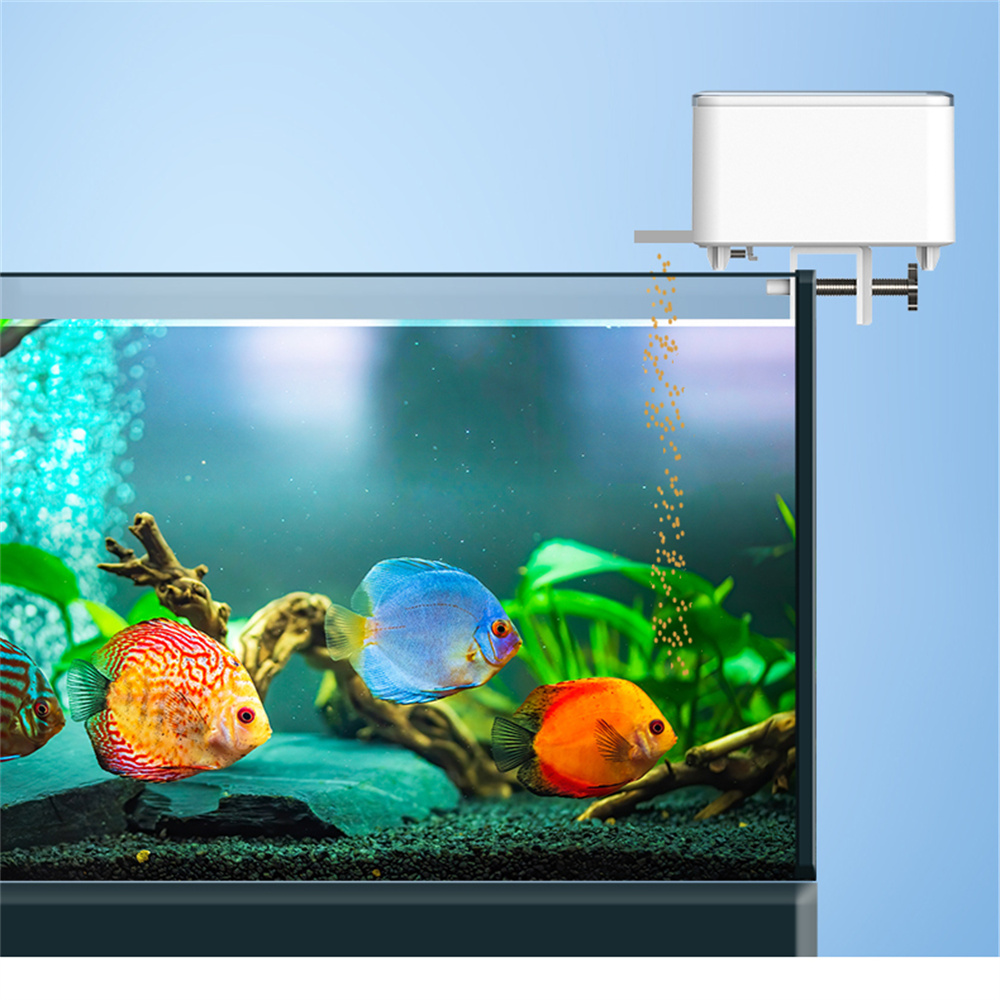 WiFi 스마트 자동 급식기 어항 금붕어 타이밍 급식기 - Aquarium Fish Feeder 리뷰 및 가격
