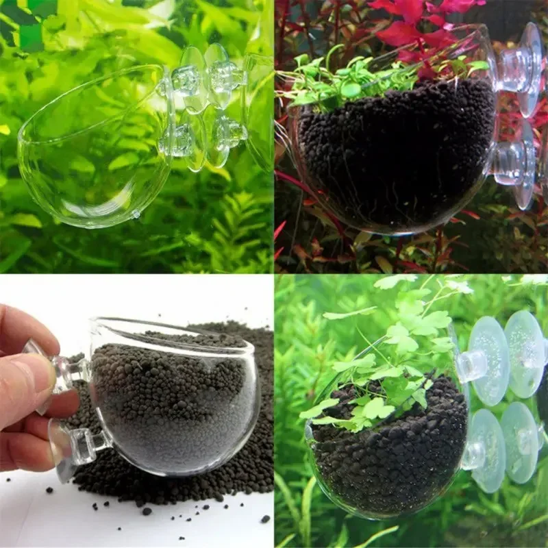 투명한 수생 식물 컵, 흡착식 받침대 포함, 유리 재질 - Aquarium Fish Feeder 리뷰 및 가격