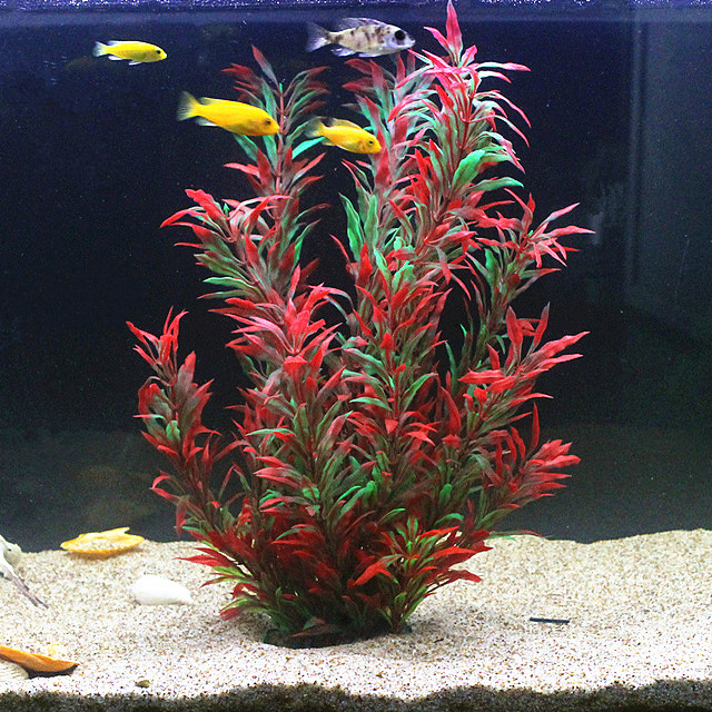 50CM 인조 어항 희귀 식물 수족관 가짜 대나무 잎  - Aquarium Fish Saltwater 리뷰 및 가격