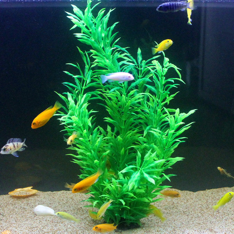 50CM 인조 어항 희귀 식물 수족관 가짜 대나무 잎  - Aquarium Fish Saltwater 리뷰 및 가격