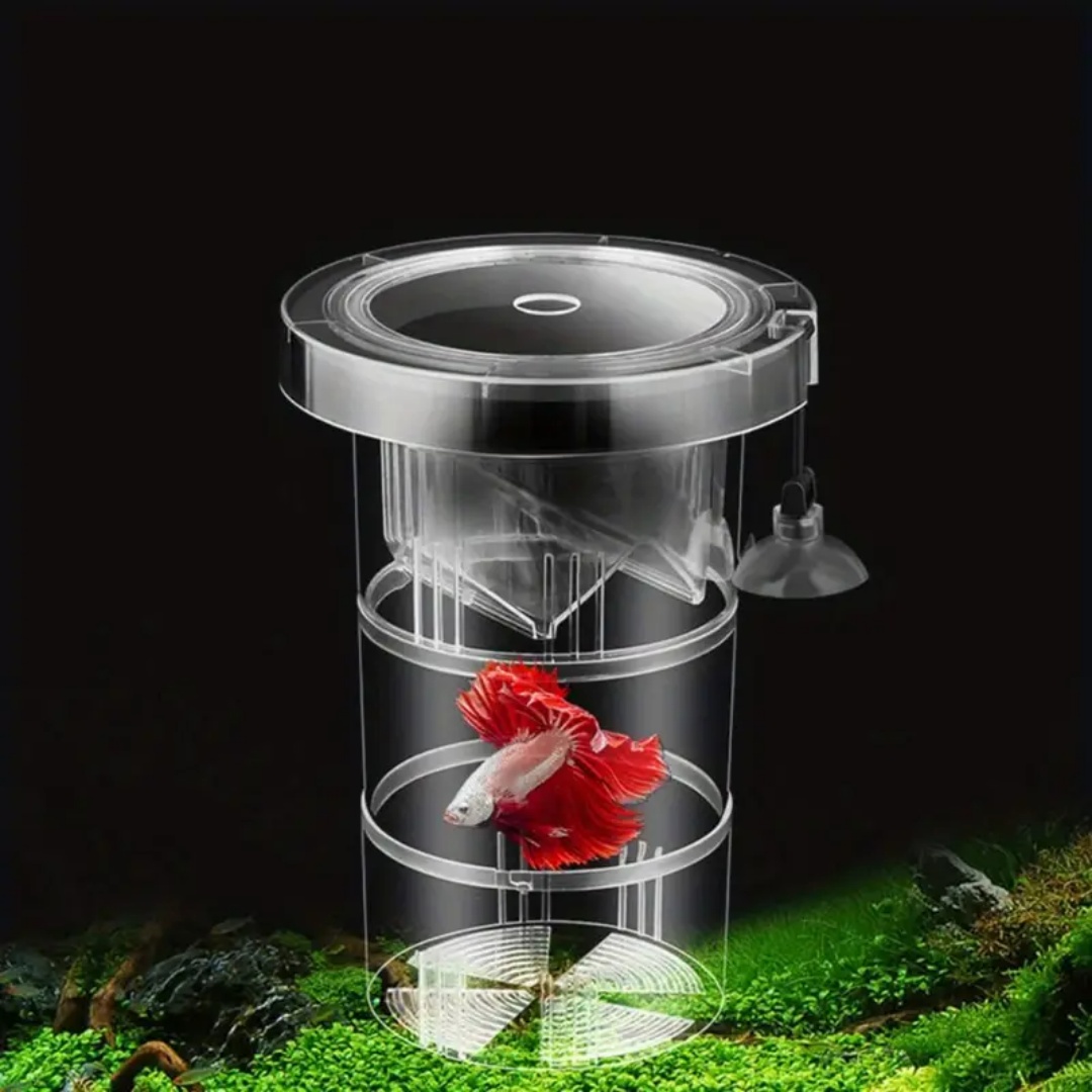 아크릴 플로팅 어류 번식 격리 상자 수족관 번식기 먹이 - Aquarium Fish Feeder 리뷰 및 가격