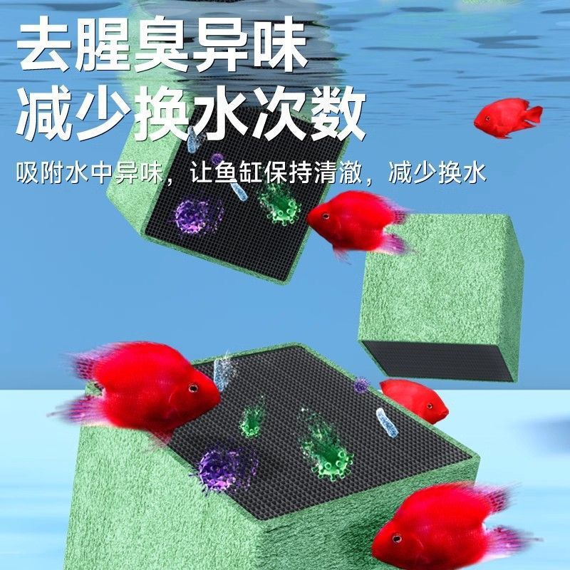 어류 정화 큐브 대형 가정용 수조 시스템 생태 어항 수 - Aquarium Fish Home Delivery 리뷰 및 가격