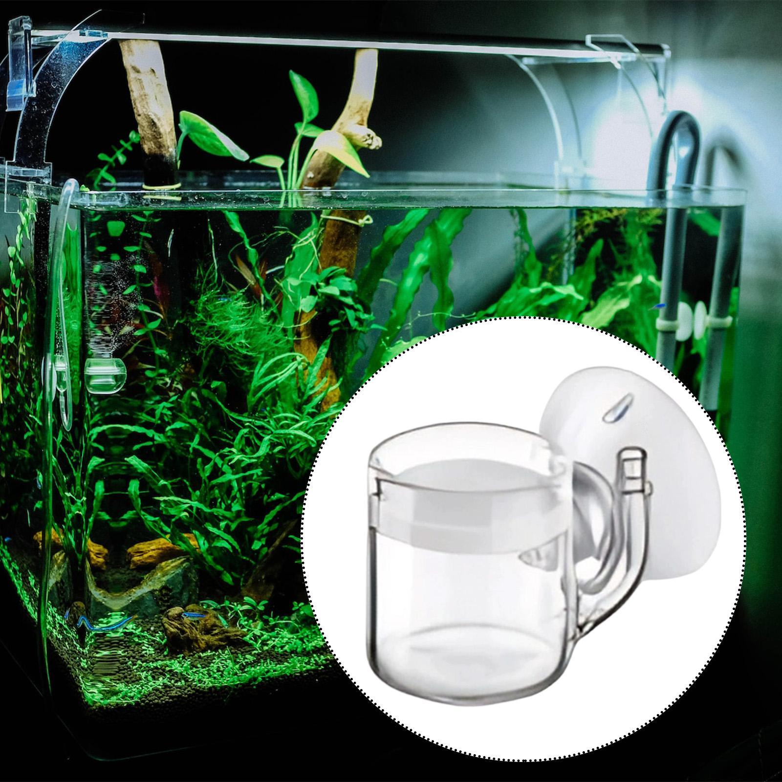 CO2 디퓨저 평평한 바닥 조용하고 청소가 쉬운 수족관 - Co2 Diffuser Planted 리뷰 및 가격