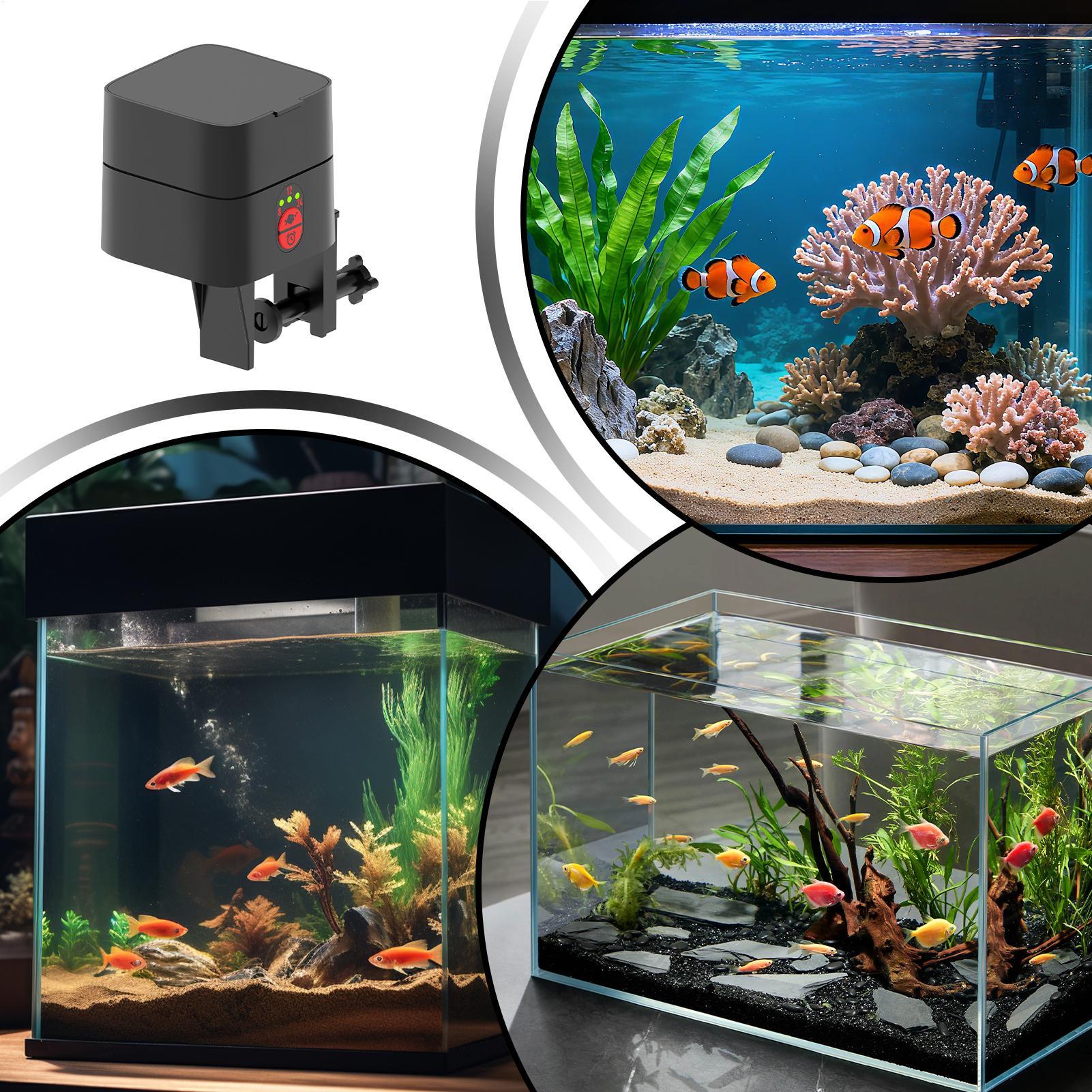 수족관용 자동 물고기 급식기, 자동 타입-C 충전식 디 - Aquarium Fish Feeder 리뷰 및 가격