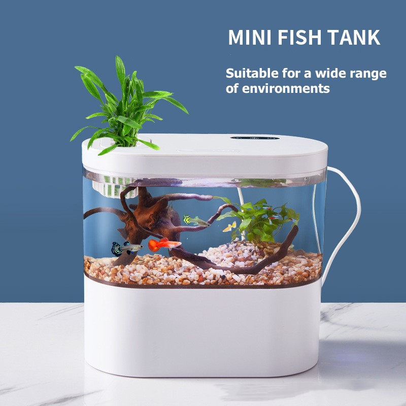 창의적인 미니 데스크탑 어항, 생화학 여과 시스템과 L - Aquarium Fish Betta 리뷰 및 가격
