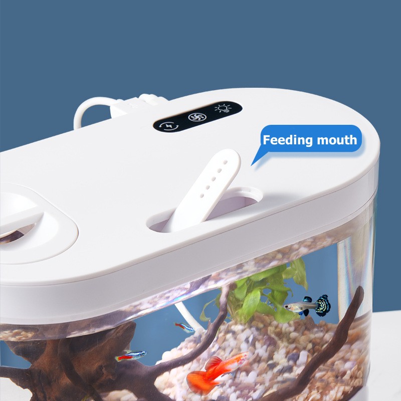 창의적인 미니 데스크탑 어항, 생화학 여과 시스템과 L - Aquarium Fish Betta 리뷰 및 가격