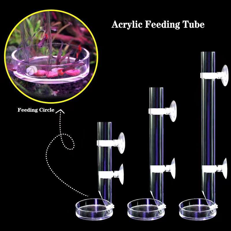 아크릴 수족관 피더 튜브 접시, 투명 어항 새우, 달팽 - Aquarium Fish Feeder 리뷰 및 가격