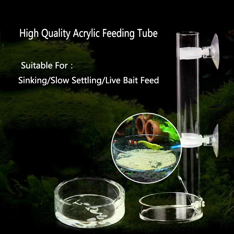 아크릴 수족관 피더 튜브 접시, 투명 어항 새우, 달팽 - Aquarium Fish Feeder 리뷰 및 가격